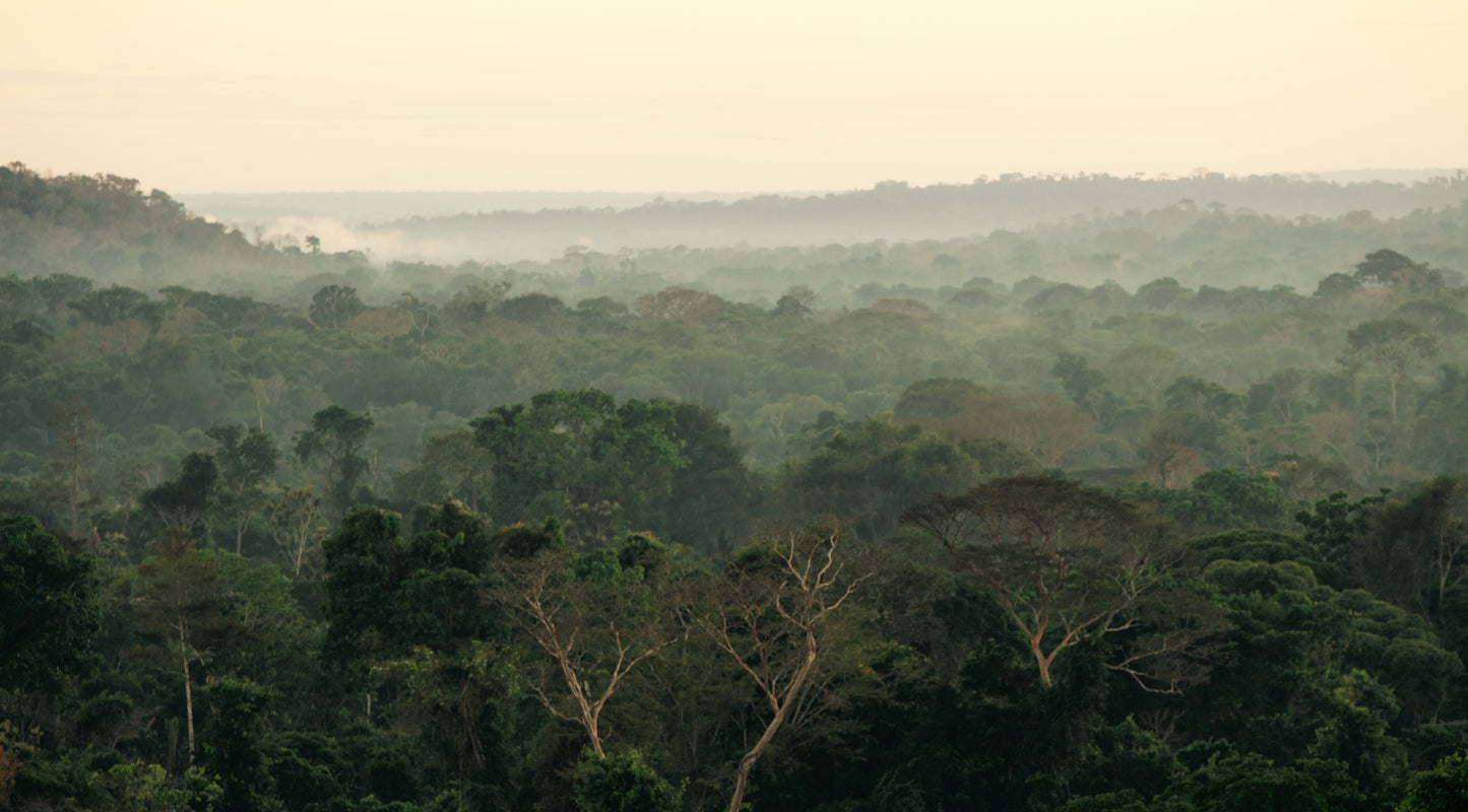 Amazônica Fotografia por Carla Nobre